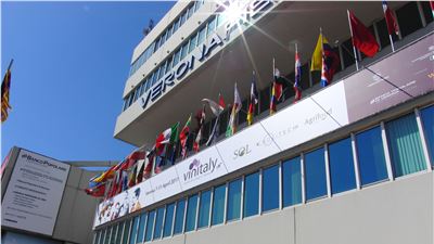 Verona, capitale del vino da bere