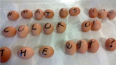 What is the Color of the Egg?