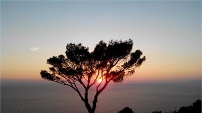 When Power Starts Listening: Signals From the New Renaissance