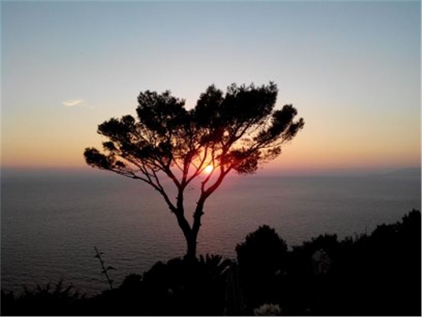 When Power Starts Listening: Signals From the New Renaissance