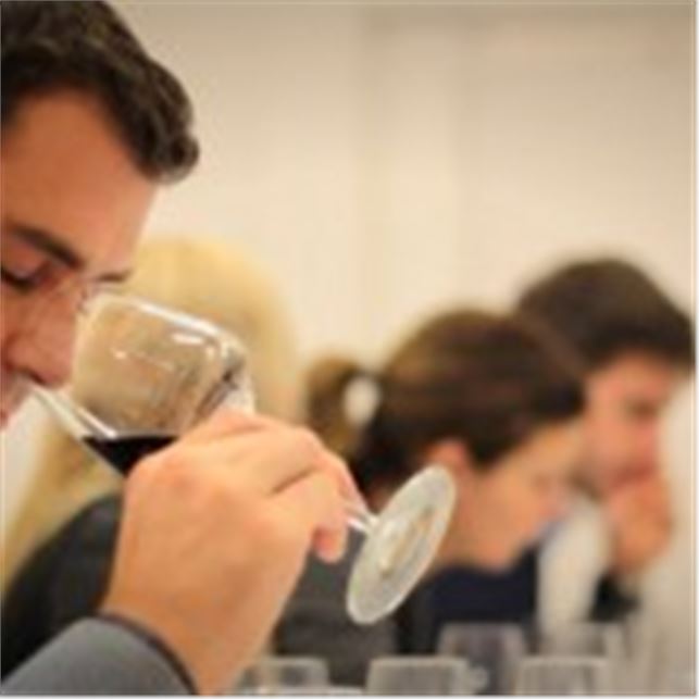 Wine Tasting Experience®: appuntamenti speciali in occasione della Fiera del Tartufo