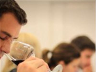 Wine Tasting Experience®: appuntamenti speciali in occasione della Fiera del Tartufo