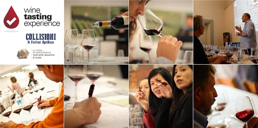 Wine Tasting Experience®: i migliori esperti del territorio raccontano i grandi vini delle Langhe!