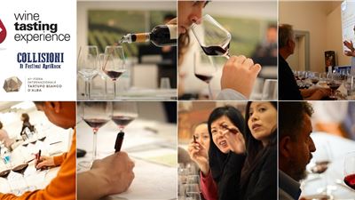 Wine Tasting Experience®: i migliori esperti del territorio raccontano i grandi vini delle Langhe!