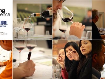 Wine Tasting Experience®: i migliori esperti del territorio raccontano i grandi vini delle Langhe!